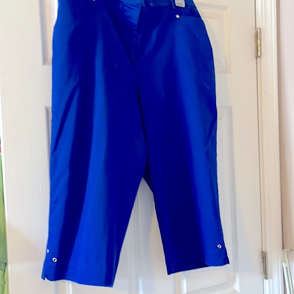 TanJay Capris Pants